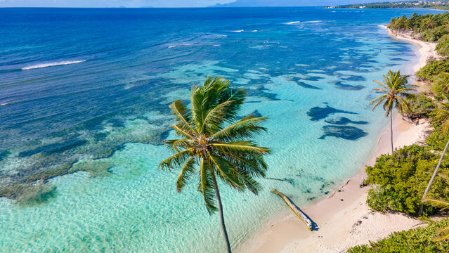 Services premium et expériences privées en Guadeloupe