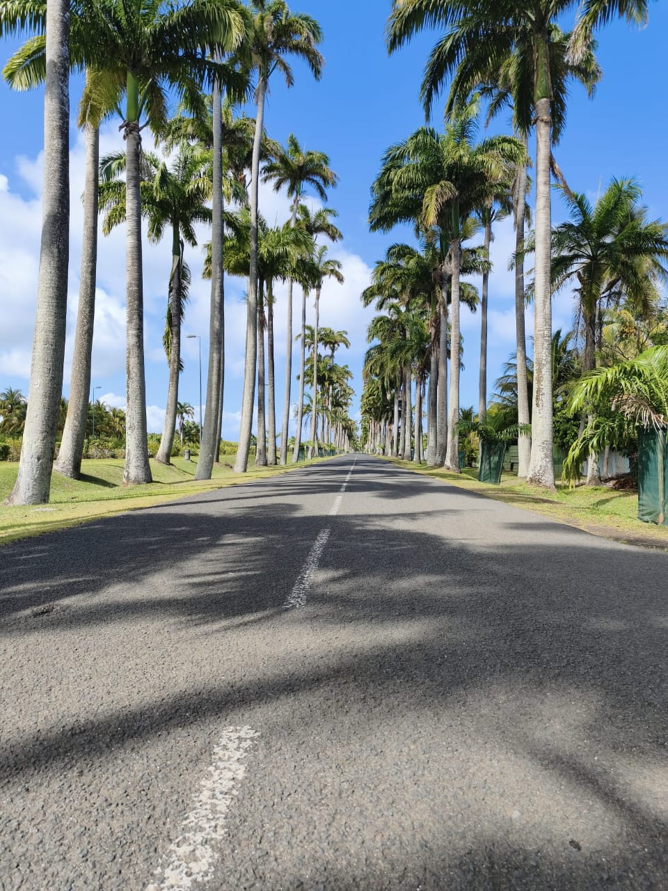 Présence locale de Mondélice Évasion en Guadeloupe