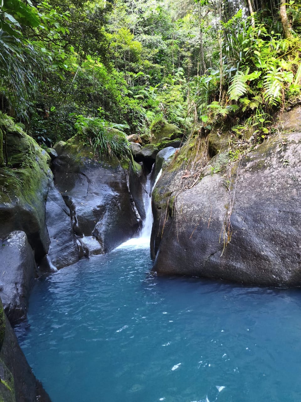 Bassin et cascade en Basse-Terre