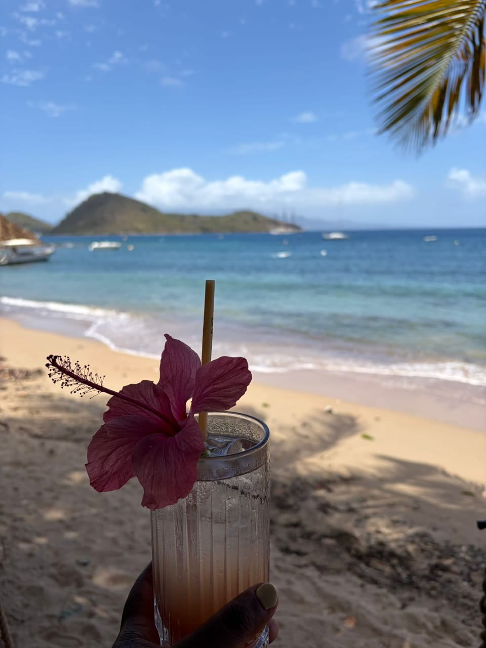 Cocktail et expérience premium sur une plage en Guadeloupe