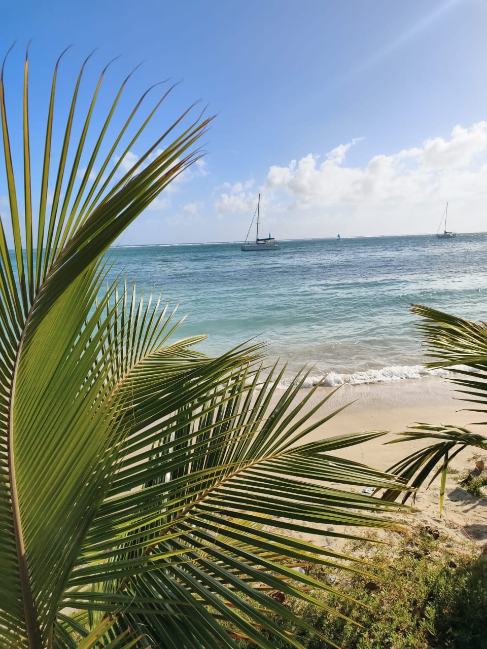 Projet de séjour ou de location saisonnière en Guadeloupe