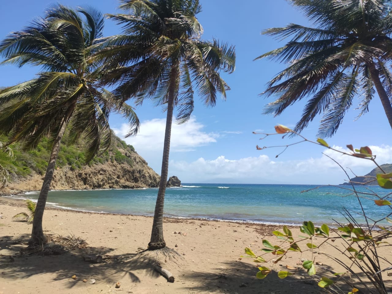 Vacances en famille en Guadeloupe